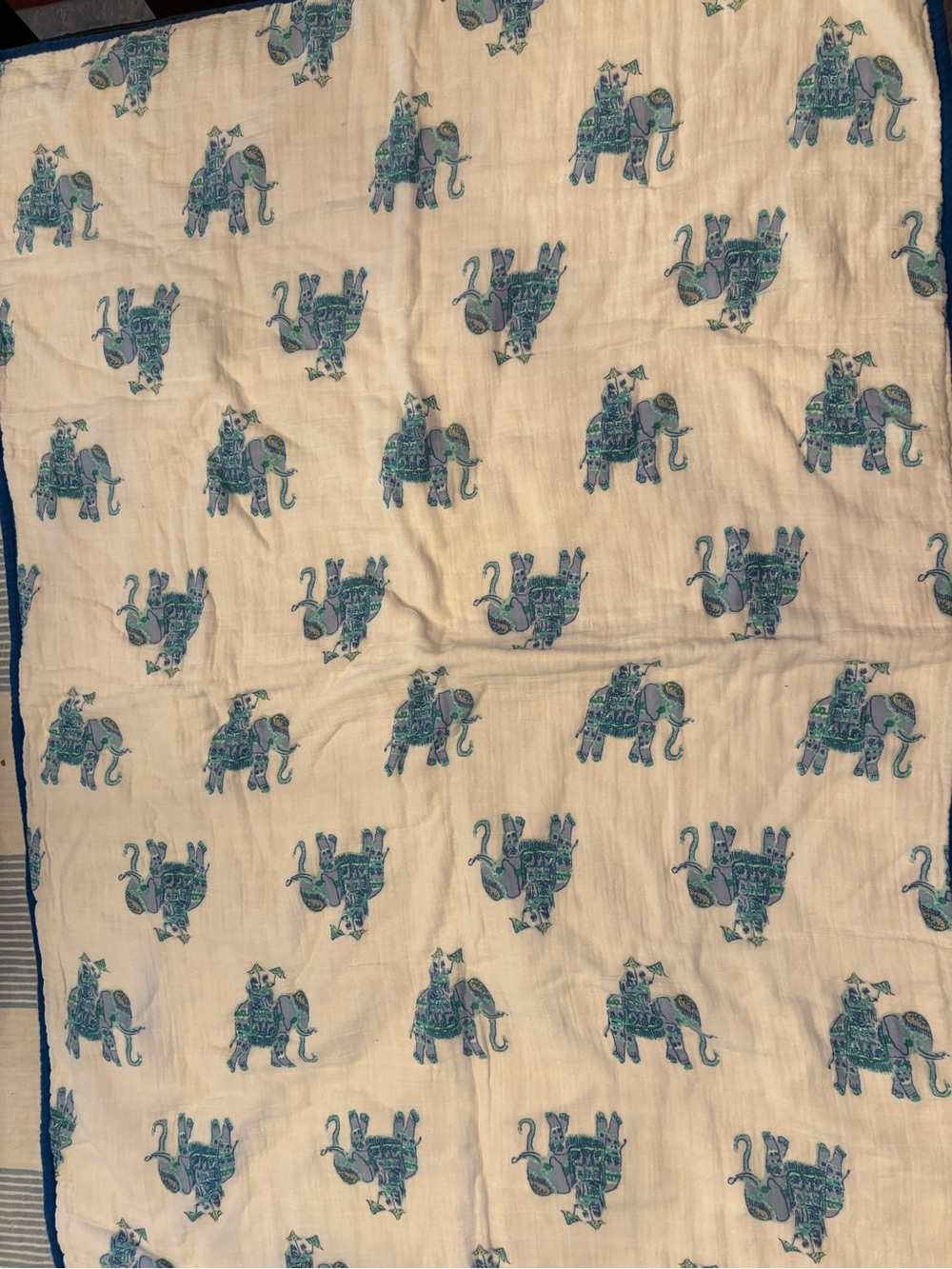 Lilly Pulitzer/Pottery Barn Baby Muslin blanket with Teal Elephant Print